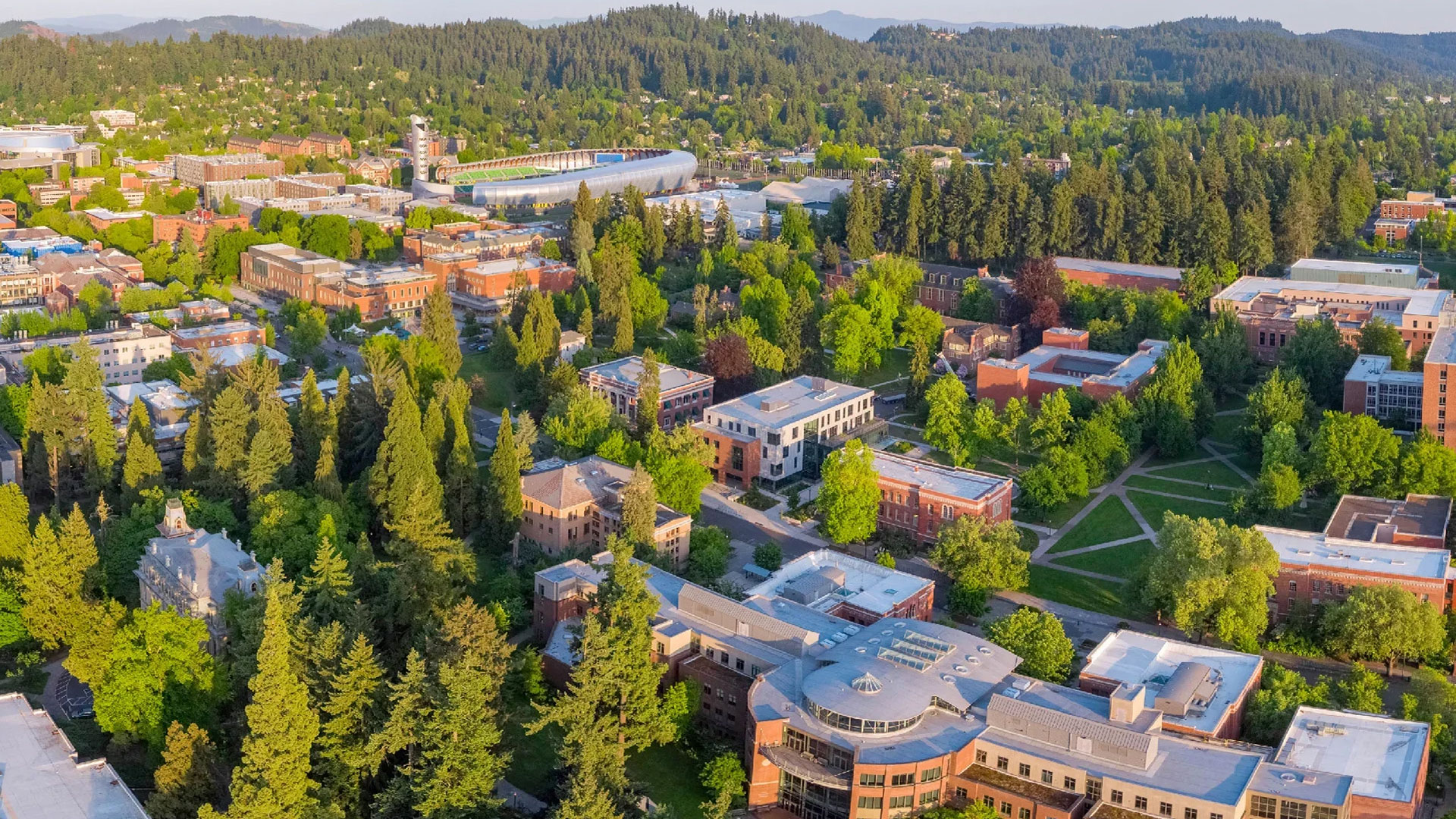 Aerial view of university campus greenery